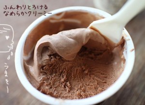 【お中元】人気のアイスクリーム！スイスの高級チョコメーカー(口コミ)